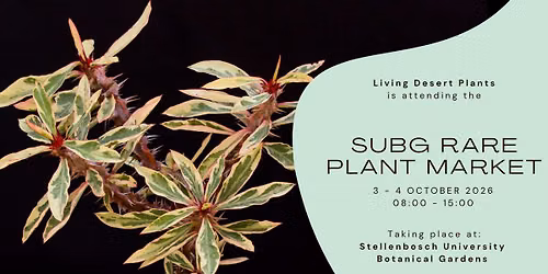 Living Desert Plants @ SUBG Rare Plant Market