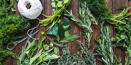 Themed Herb Gardens