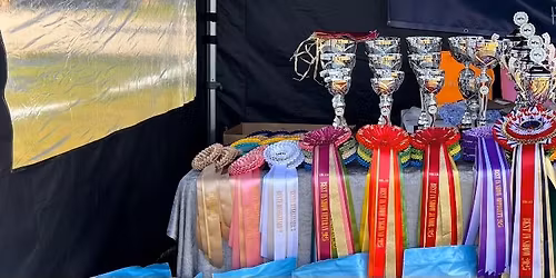 Norsk Chihuahuaklubbs Rasespesial 2026