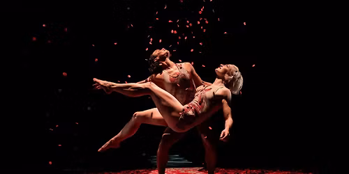 Pilobolus: Other Worlds Collection