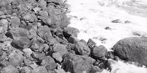 Finding Florence: Dreams of a River and the Sea