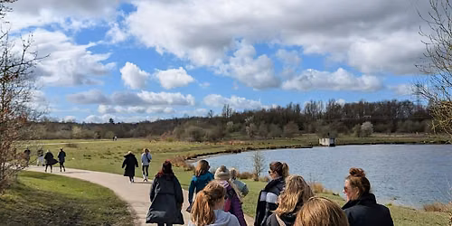 The Butterfly Effect Business Club - Womens Netwalking Event