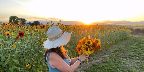 Farm Flower Hour: Make Your Own Bouquet - Tuesday August 25th from 5:30 - 7:30pm