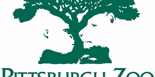 Safari Splash: Getting Little Feet WET Educator Workshop