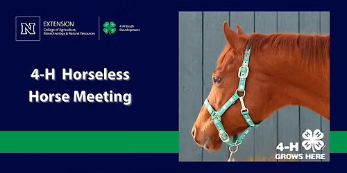4-H Horseless Horse Series- Las Vegas