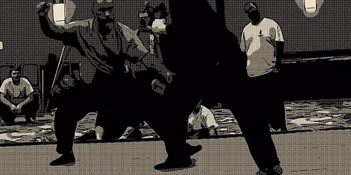 Martial Arts & Hand-to-Hand Combat