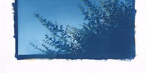Multicolour Cyanotypes