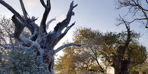 Winter Solstice at the Middlewick