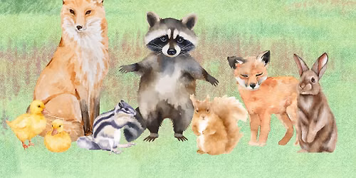 5th Annual Spring Hop for the Wild Ones Auction 