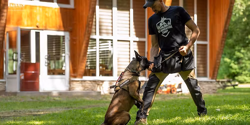 Dog-Coach Pro - Profesjonalny kurs dla trener\u00f3w ps\u00f3w