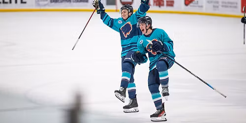 Parking Anchorage Wolverines at Fairbanks Ice Dogs