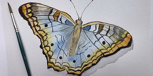 Watercolor White Peacock Butterfly