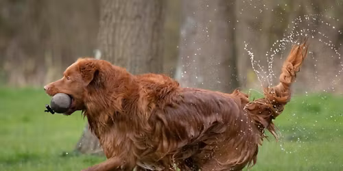 Najaarsworkingtest 22-11-2026 (let op = gewijzigde datum)