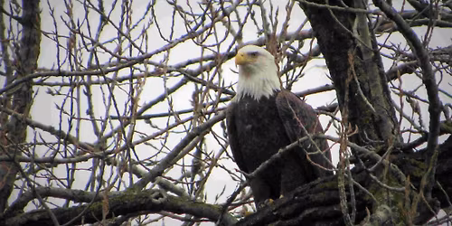 Weekend Hike to the Eagle's Nest