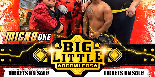 Micro Wrestling: Hickory, NC!