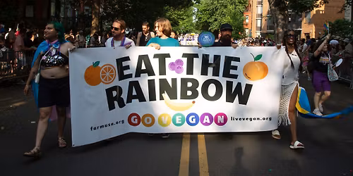 March with FARM in the DC Pride Parade!