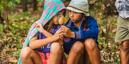 Night Out in Nature For Kids