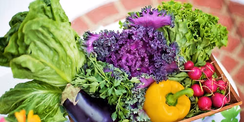 Whole Food Plant Based cooking class. 