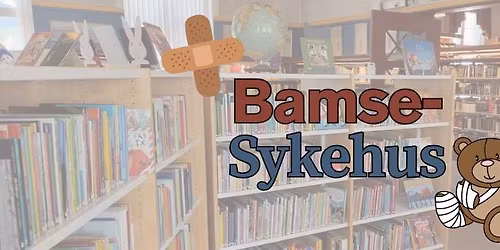 Bamsesykehus p\u00e5 biblioteket