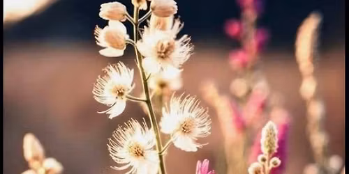 Wrong Crowd Bakehouse Grand Opening and Mini Market