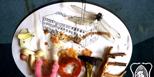 Tuotteen Maitobileet!