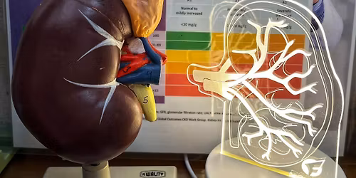 Hemodialysis Basic CourSe for NNPOD and Nurses