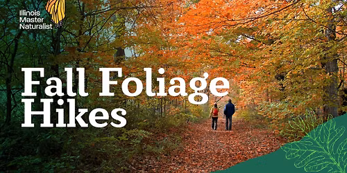 Fall Foliage Hike - Nell's Woodland