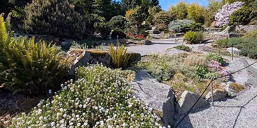 Flower Hour: The Rock Garden