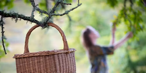 Foraging Across the Seasons (Spring)