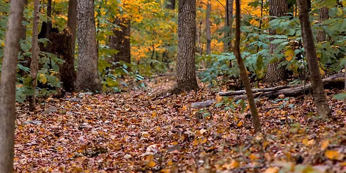 Holding the High Ground: Hike to the Stone Fort on Maryland Heights