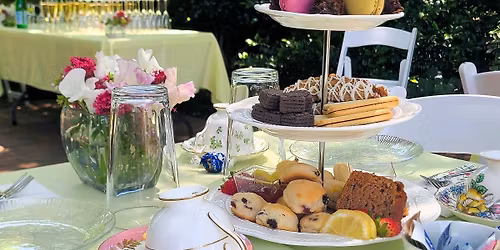 Herbal Tea Party