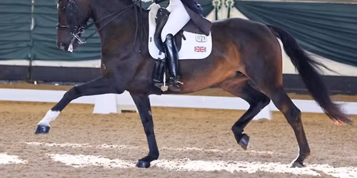 Dressage Clinic with Vikki Pengilly