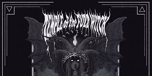 Temple Of The Fuzz Witch