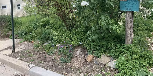 Heart + Soil Sanctuary Volunteer Day
