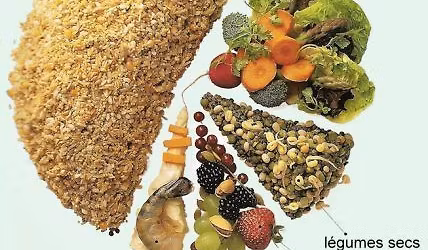 cours du soir alicament