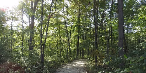 Walk in the Park: Franklin Woods Nature Center