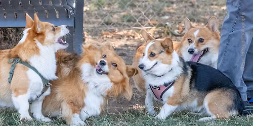 2026 CorgiFaire & Spring \u201cB\u201d Match