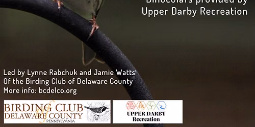 Bird Walk at Naylors Run Park