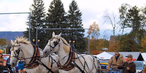 3rd Annual Jacob Eckstrom Memorial Horsepull 