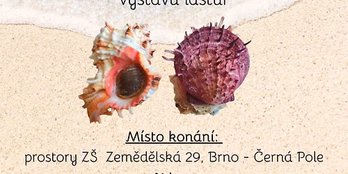 V\u00fdstava a Burza mo\u0159sk\u00fdch lastur