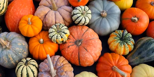 Channahon Farmer's Market Fall Fest