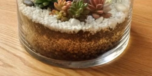 Let's Make a Terrarium