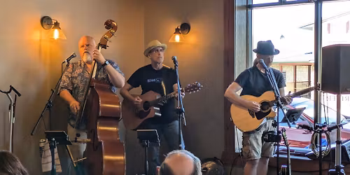 Live Music - Fred the Bear