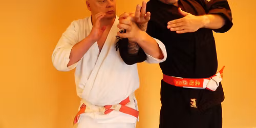 Yawara Ju-Jutsu Seminar