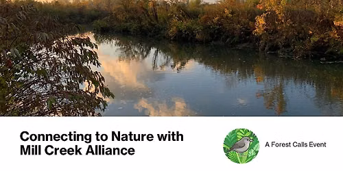 Connecting to Nature with Mill Creek Alliance: A Forest Calls Event
