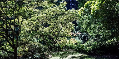 Writing in Nature, Nature in Writing (in-person)