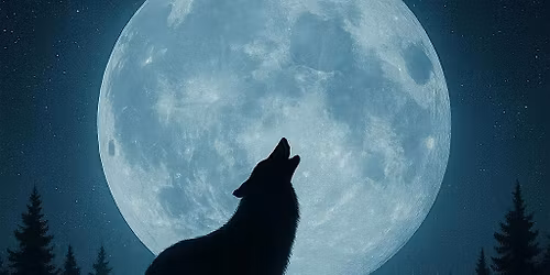 Sound Bath with Meditation and Breathwork