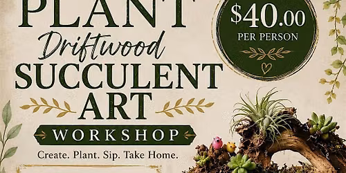 Sip and Plant Driftwood Art