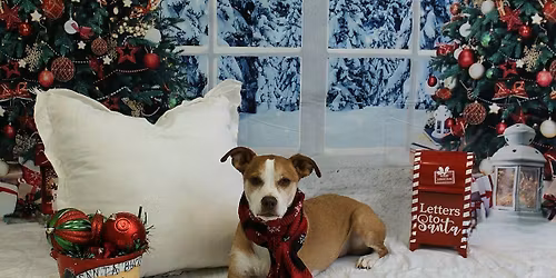 Annual Holiday Pup Gift Exchange!