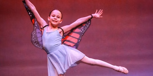 Young Children\u2019s Summer Dance Program- The Sleeping Beauty Fairies